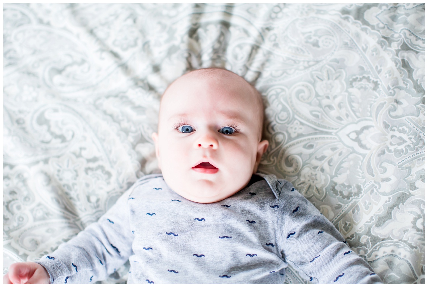 asheville newborn photographer