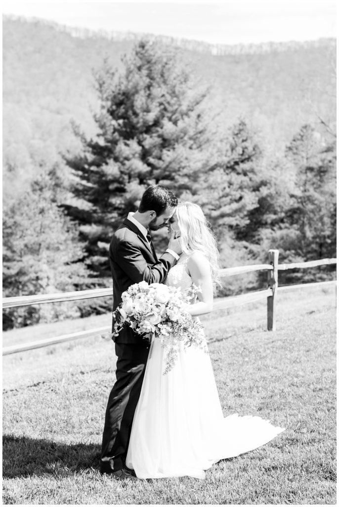 asheville wedding photographer